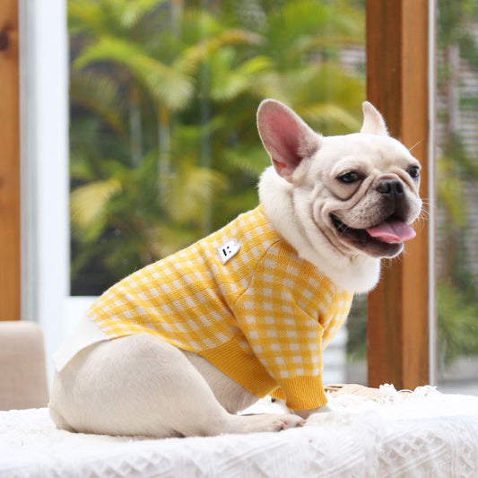 FurryWarmth: British Style Pet Apparel Essentials