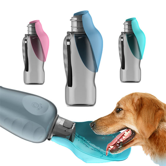 Foldable Travel Pet Bottle - 800 ml