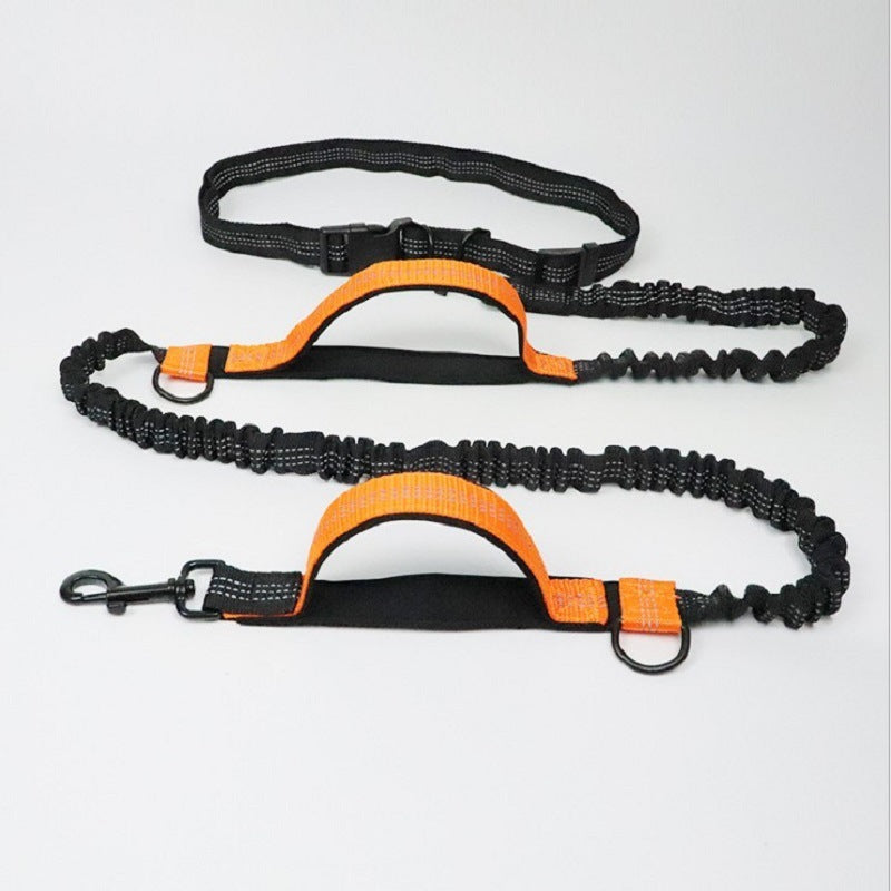 LeashMaster: Pet Traction Rope